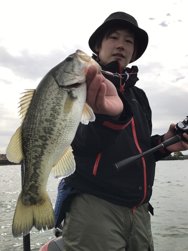 S__3145759.jpg