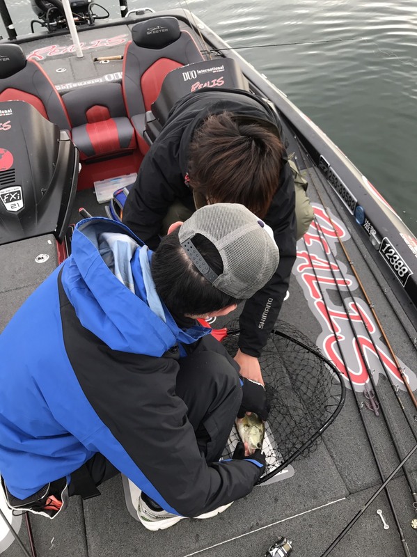 S__3145760.jpg