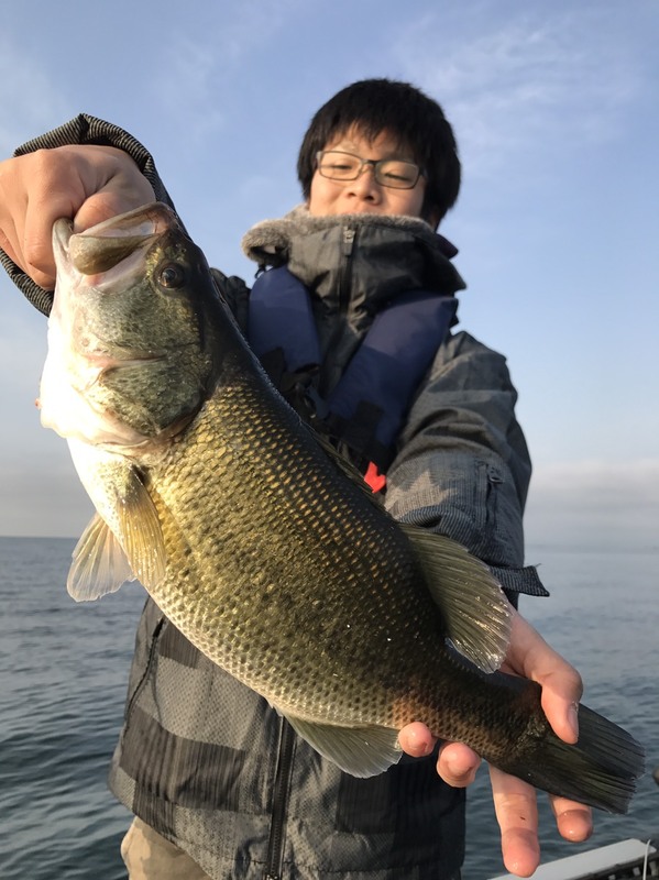 S__3268654.jpg