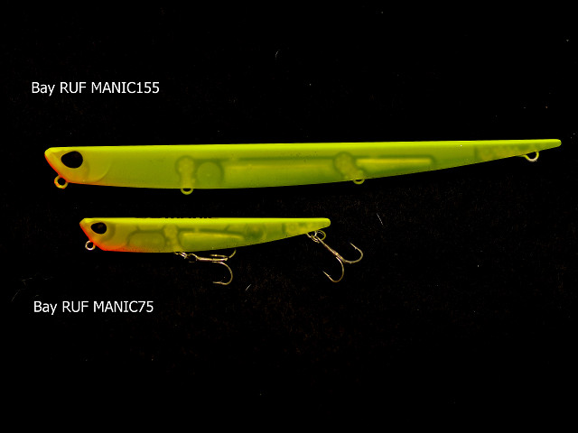 荻野 憲司（矢七）｜マニック155 デビュー - スタッフレポート｜DUO