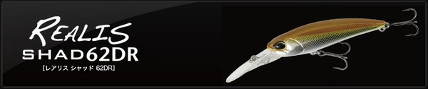 shad62dr.jpg