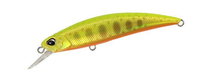 RYUKIミノー福ゼミラパラ RYUKIミノー福ゼミラパラ RYUKIミノー福ゼミラパラ RYUKIミノー