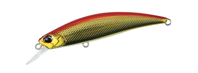 SPEARHEAD RYUKI - TROUT｜製品情報｜DUO International