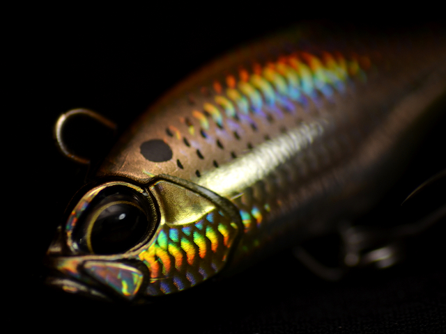 荻野 憲司（矢七）｜待望のレアリススピンソルトカラー - スタッフ