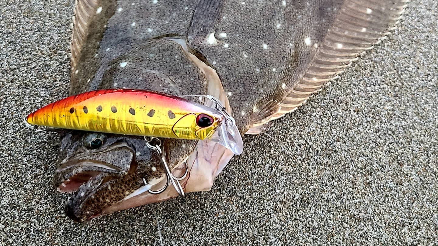 Beach Walker Axcion - SALT｜製品情報｜DUO International / ルアー