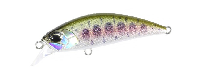 RYUKI45S_CNI4144.jpg