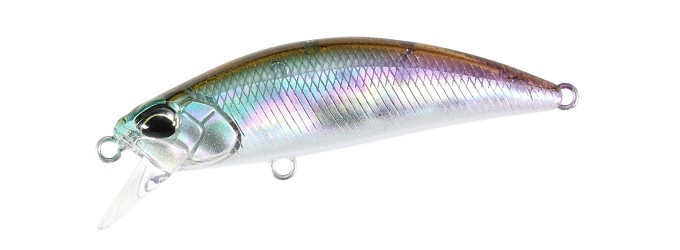 ★渓流ミノーセット★スピアヘッドリュウキ50s、ベアトリス53s等（ケース付き） RYUKI50S_CAN4146.jpg