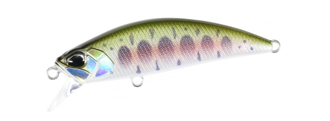 RYUKI50S_CNI4144.jpg