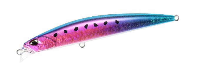 AXS105S_CYA0897.jpg