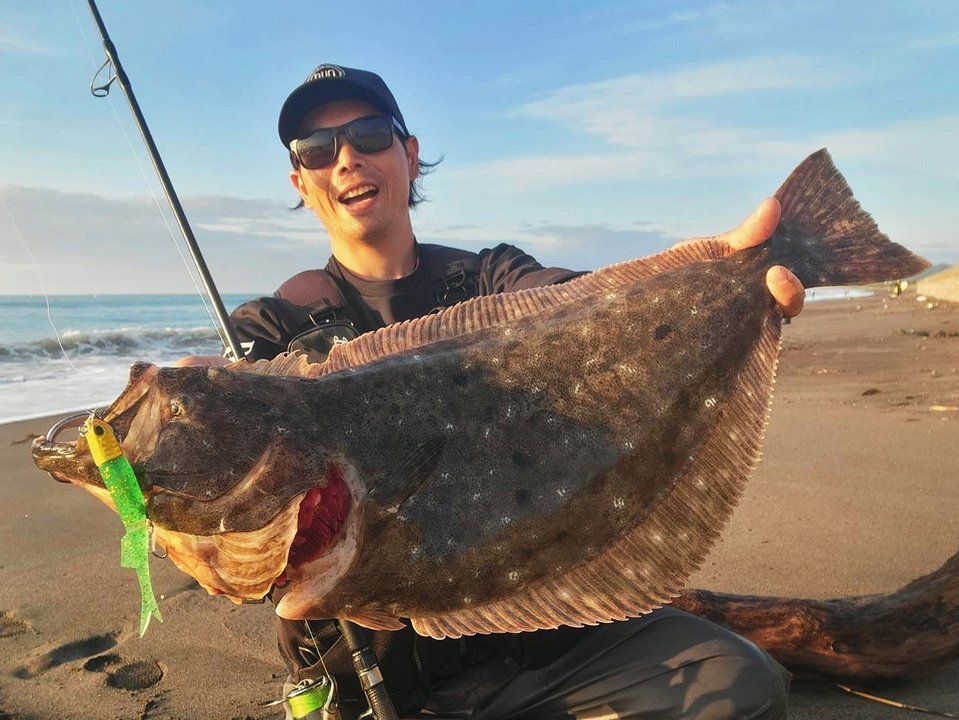 Beach Walker Haul - SALT｜製品情報｜DUO International / ルアー