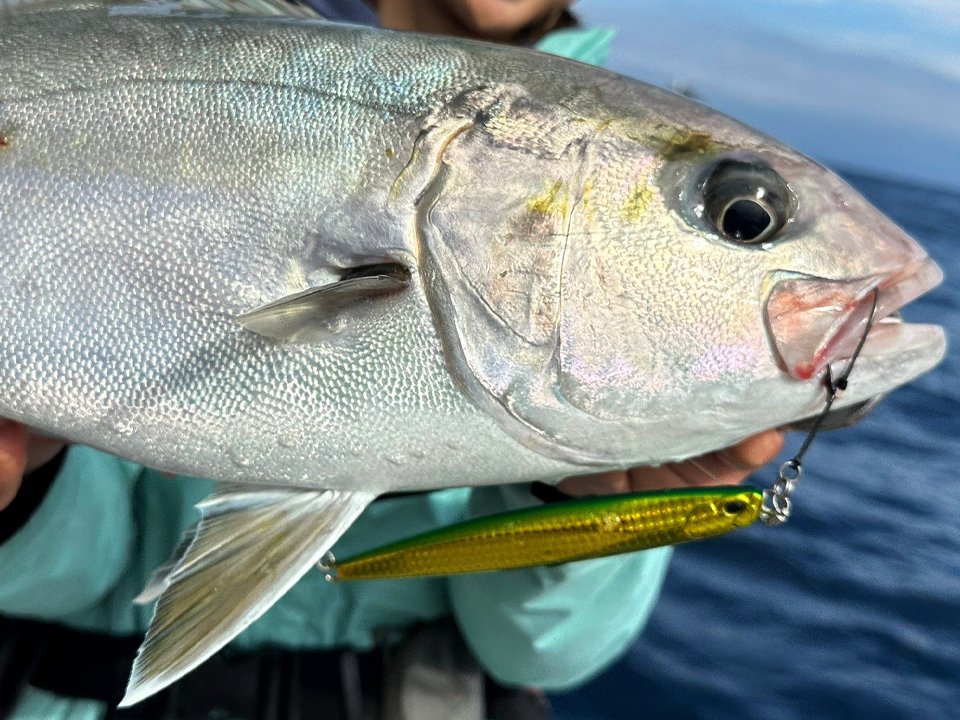 Drag Metal Force - SALT｜製品情報｜DUO International / ルアー